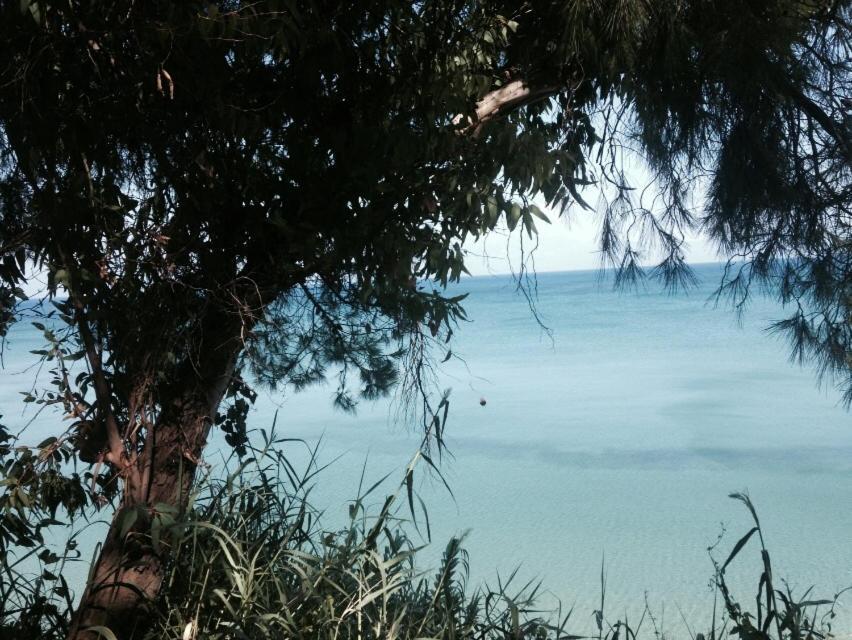 Top Holiday Home Private Pool By The Sea With Private Garden For Private Use Koróni Εξωτερικό φωτογραφία